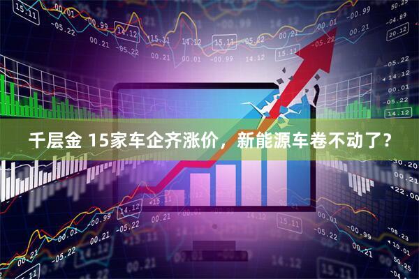 千层金 15家车企齐涨价，新能源车卷不动了？