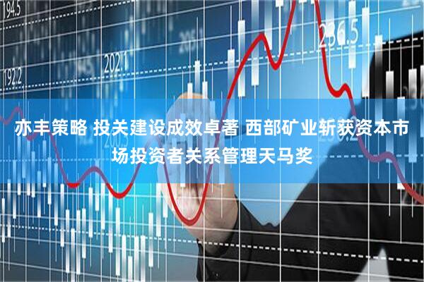 亦丰策略 投关建设成效卓著 西部矿业斩获资本市场投资者关系管理天马奖