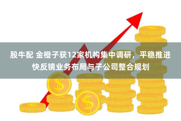 股牛配 金橙子获12家机构集中调研，平稳推进快反镜业务布局与子公司整合规划