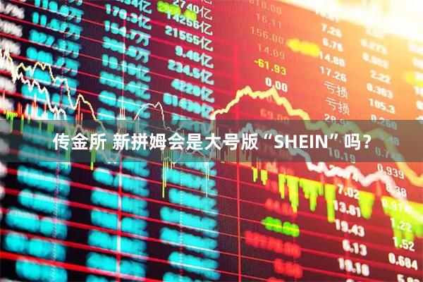 传金所 新拼姆会是大号版“SHEIN”吗？
